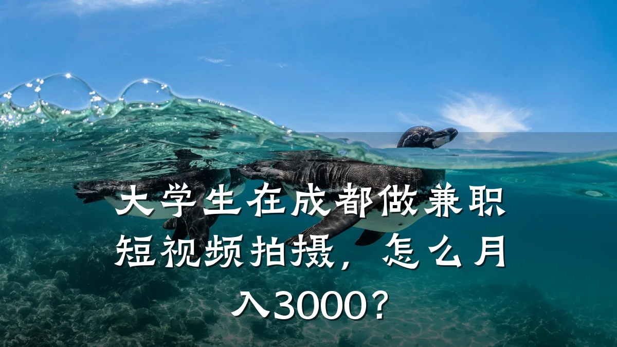 大学生在成都做兼职短视频拍摄,怎么月入3000?
