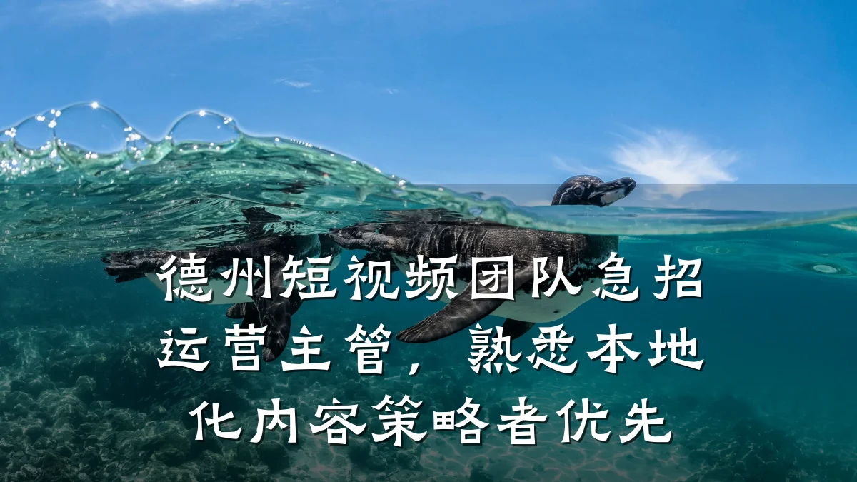 德州短视频团队急招运营主管,熟悉本地化内容策略者优先