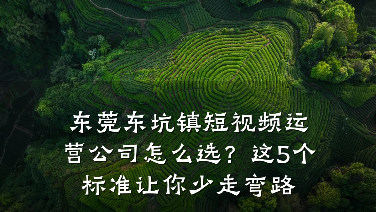 东莞东坑镇短视频运营公司怎么选？这5个标准让你少走弯路