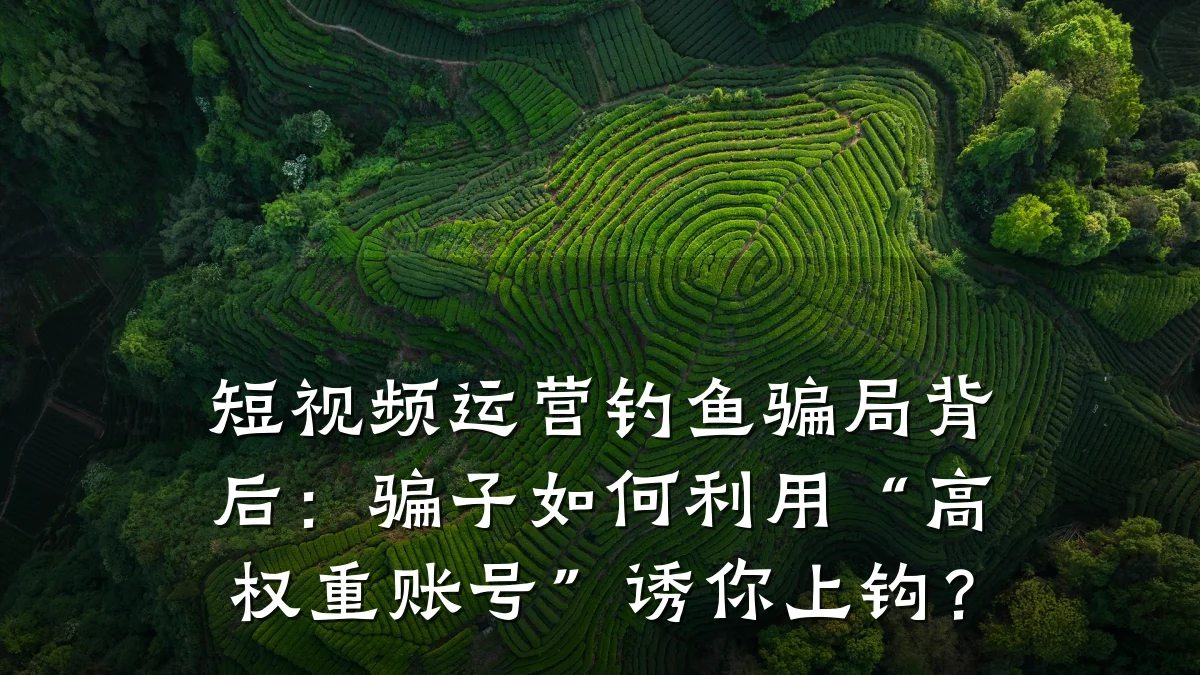 短视频运营钓鱼骗局背后:骗子如何利用“高权重账号”诱你上钩?