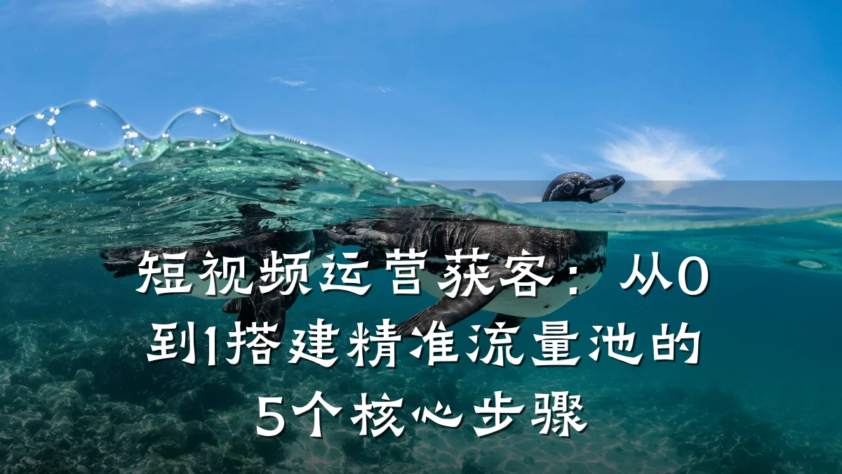 短视频运营获客:从0到1搭建精准流量池的5个核心步骤