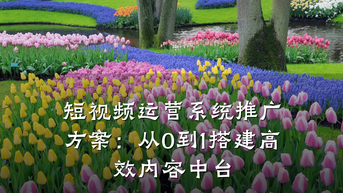 短视频运营系统推广方案:从0到1搭建高效内容中台