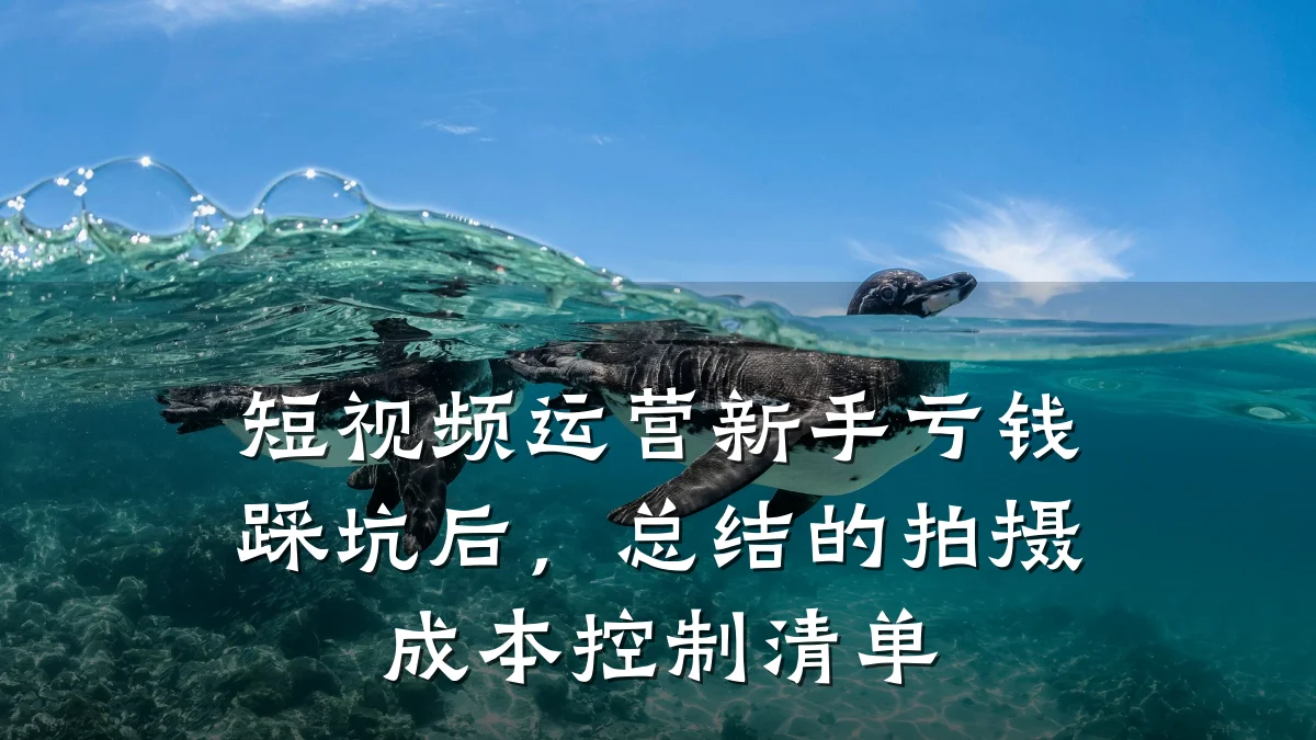 短视频运营新手亏钱踩坑后，总结的拍摄成本控制清单