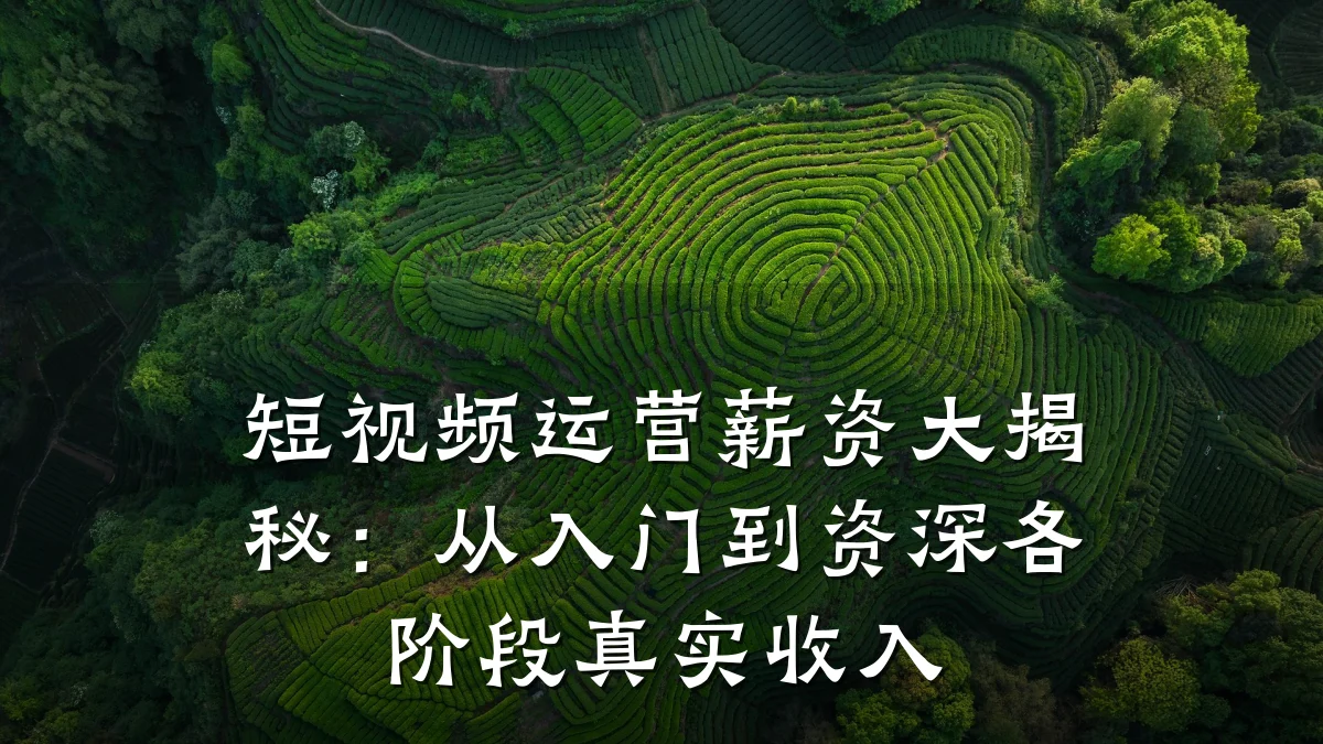 短视频运营薪资大揭秘:从入门到资深各阶段真实收入