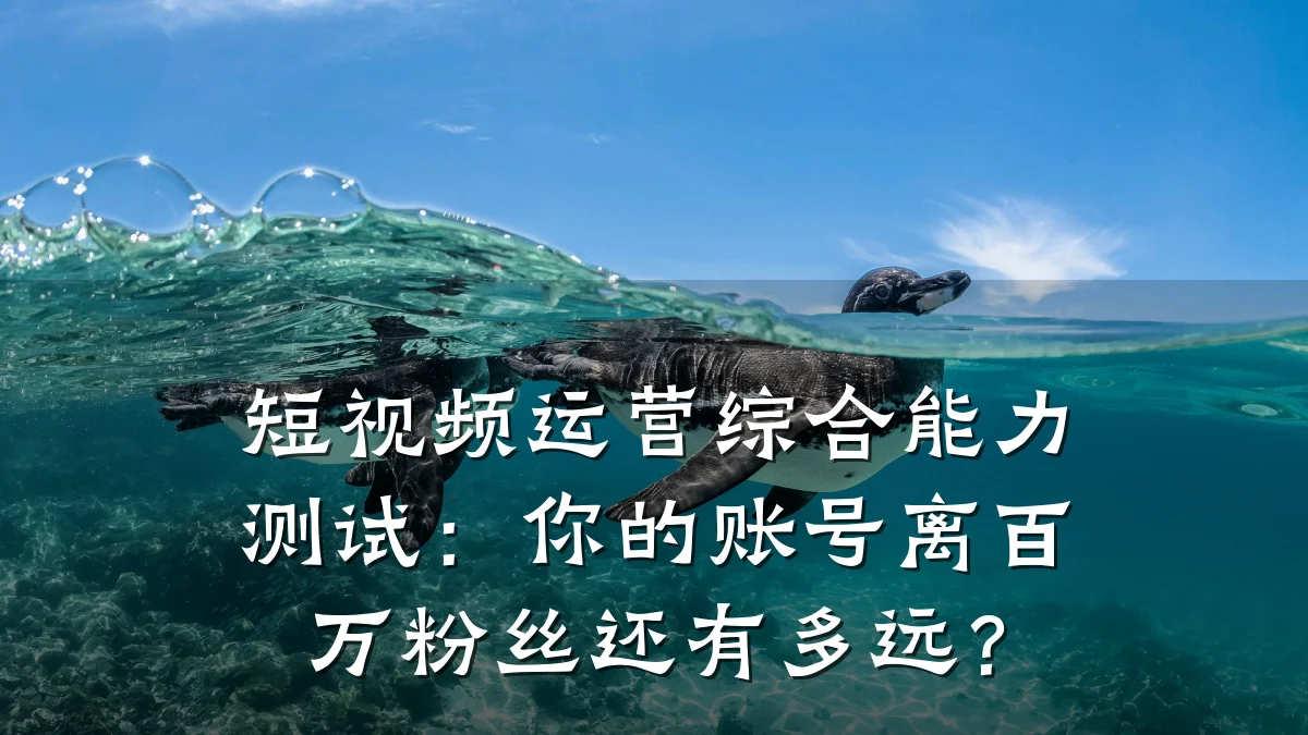 短视频运营综合能力测试:你的账号离百万粉丝还有多远?