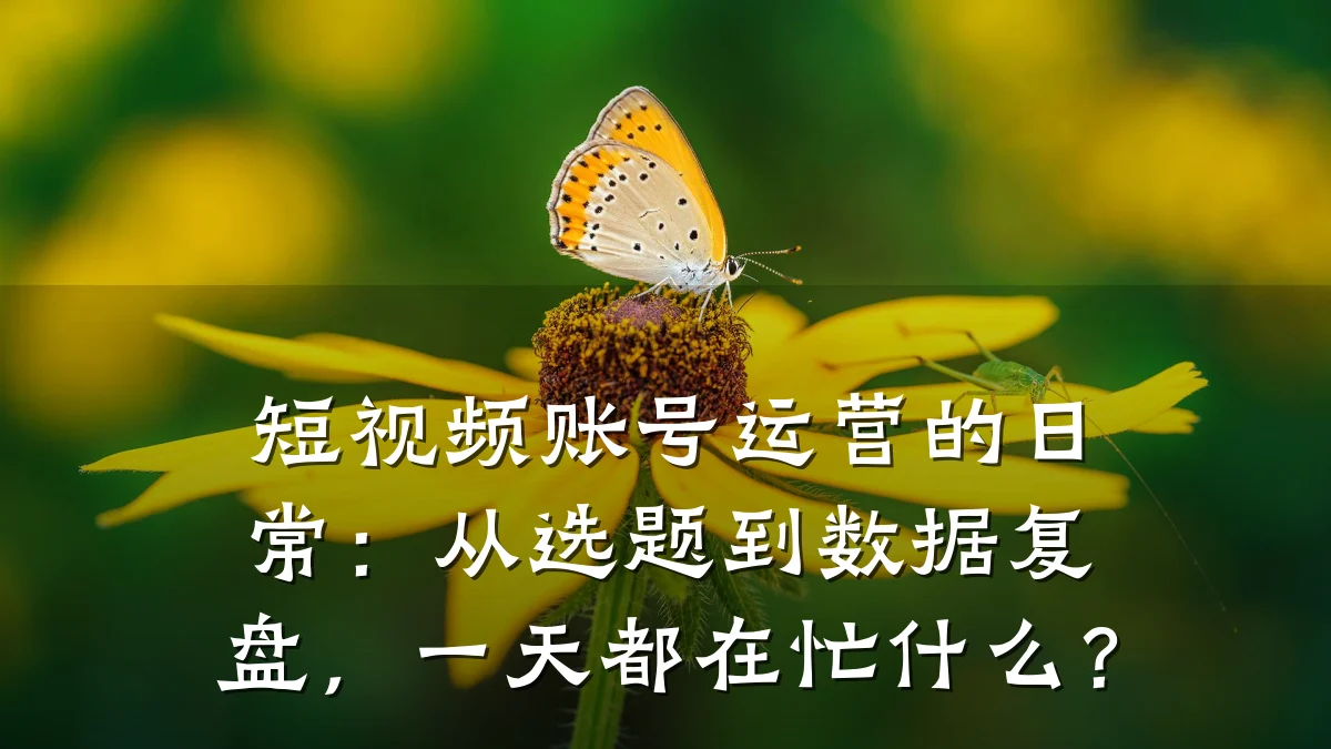 短视频账号运营的日常:从选题到数据复盘,一天都在忙什么?