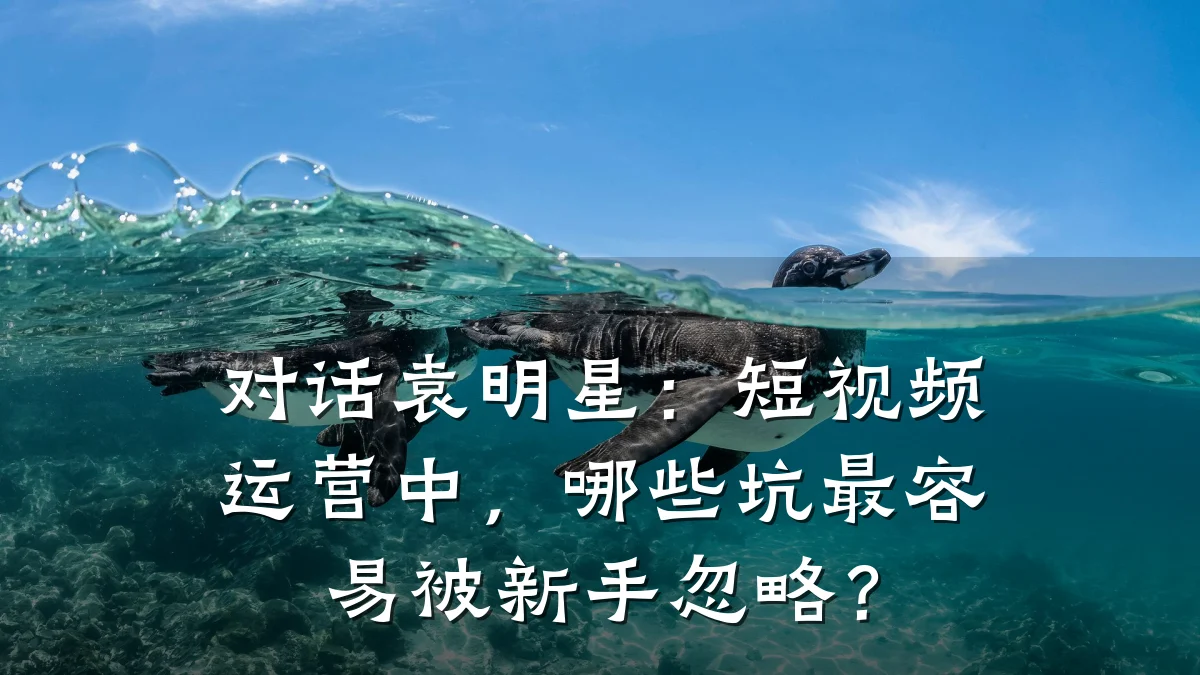 对话袁明星:短视频运营中,哪些坑最容易被新手忽略?