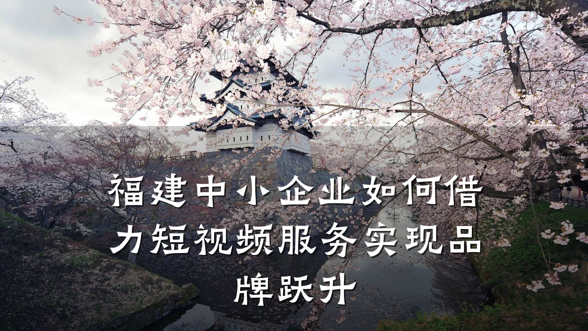 福建中小企业如何借力短视频服务实现品牌跃升