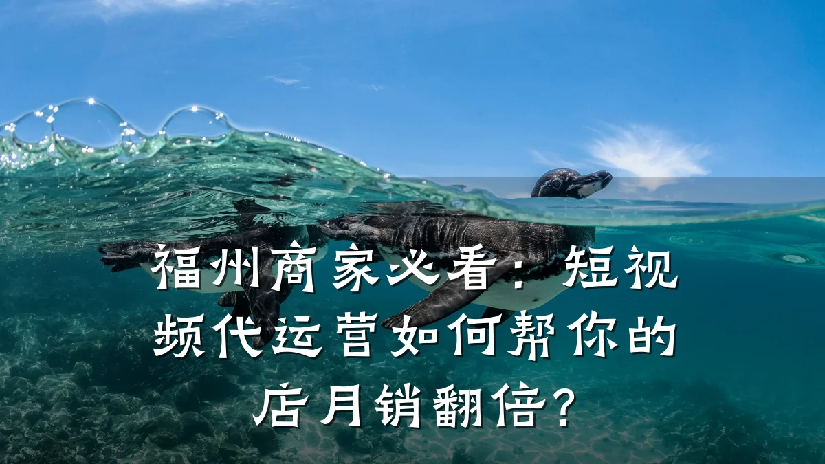 福州商家必看:短视频代运营如何帮你的店月销翻倍?
