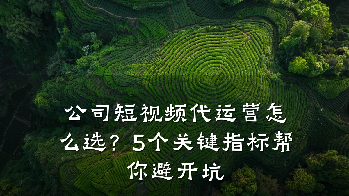 公司短视频代运营怎么选?5个关键指标帮你避开坑