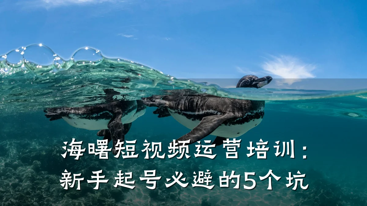 海曙短视频运营培训:新手起号必避的5个坑