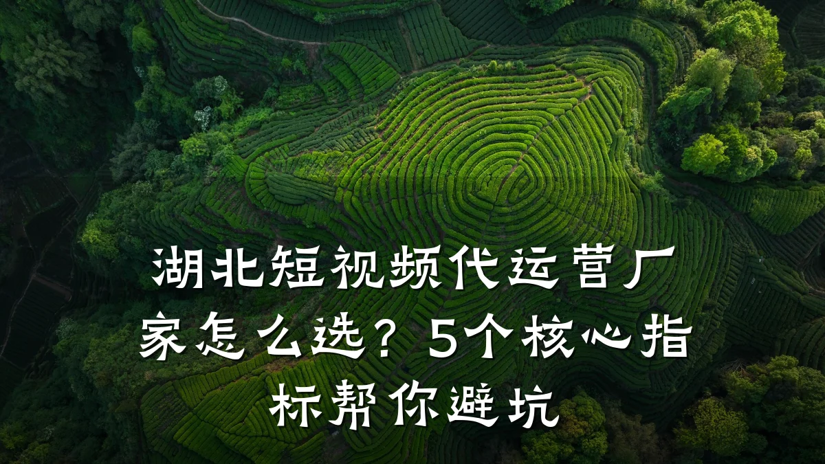 湖北短视频代运营厂家怎么选?5个核心指标帮你避坑