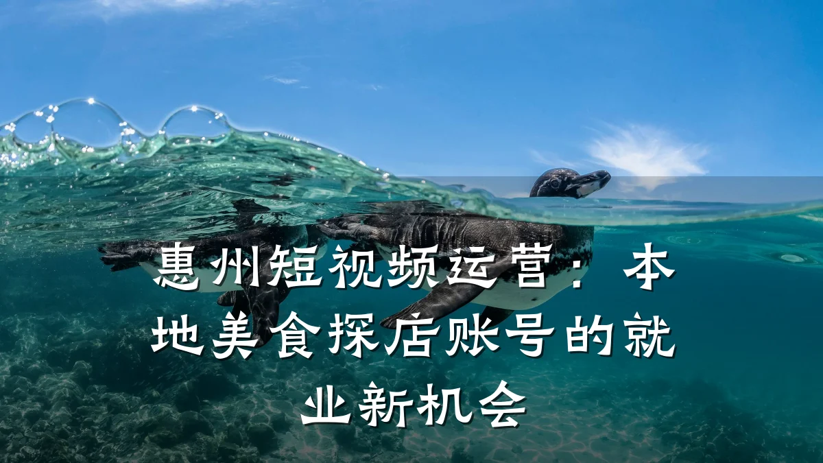 惠州短视频运营:本地美食探店账号的就业新机会