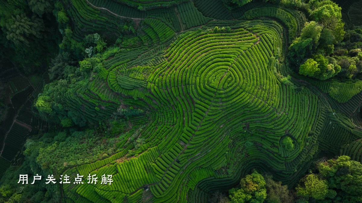 用户关注点拆解