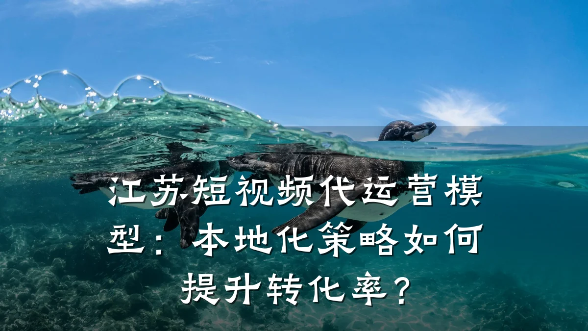 江苏短视频代运营模型:本地化策略如何提升转化率?