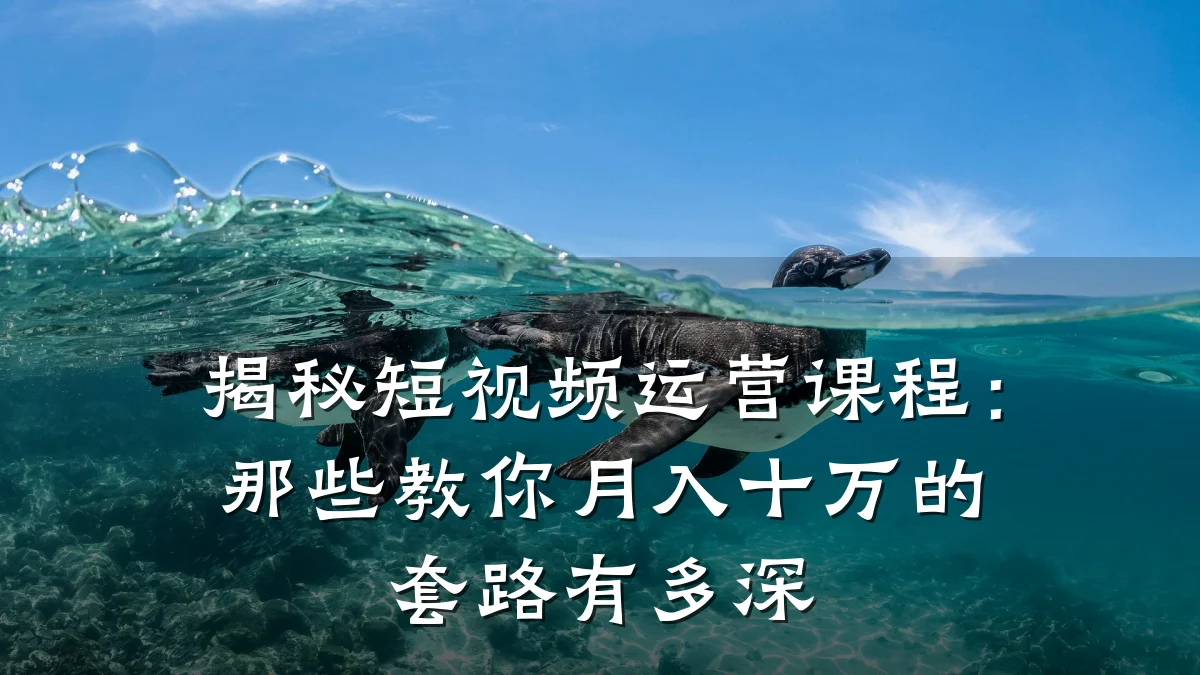 揭秘短视频运营课程：那些教你月入十万的套路有多深