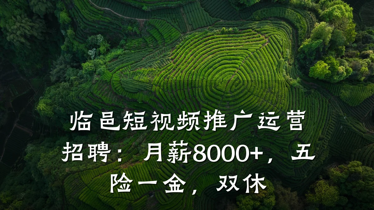 临邑短视频推广运营招聘:月薪8000+,五险一金,双休