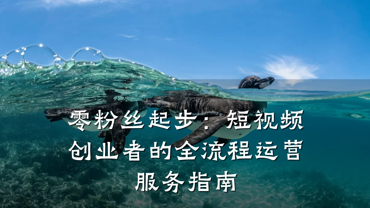零粉丝起步:短视频创业者的全流程运营服务指南