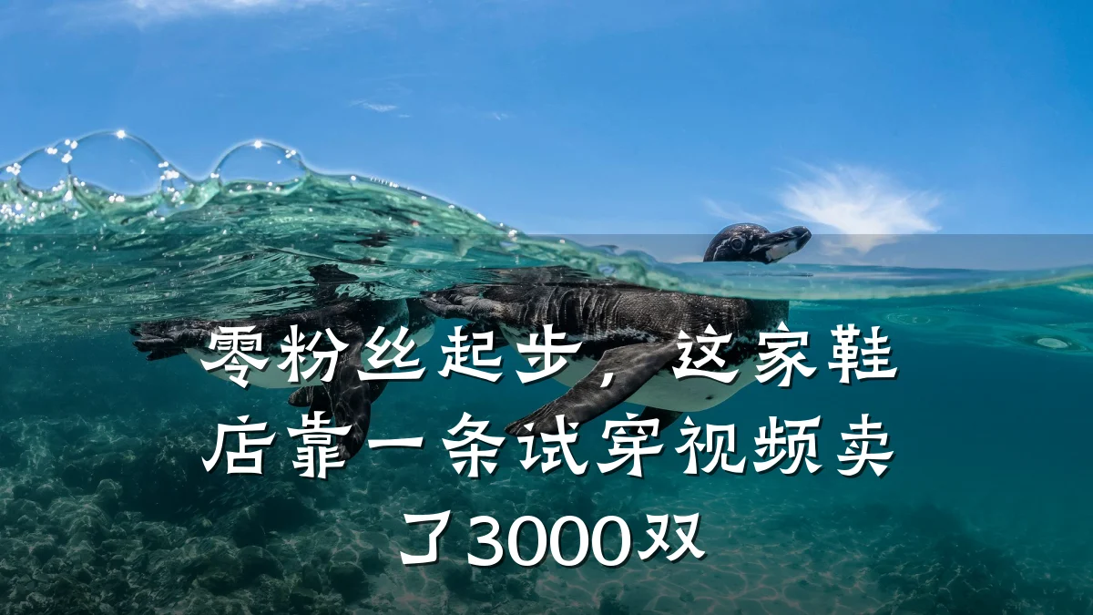 零粉丝起步，这家鞋店靠一条试穿视频卖了3000双