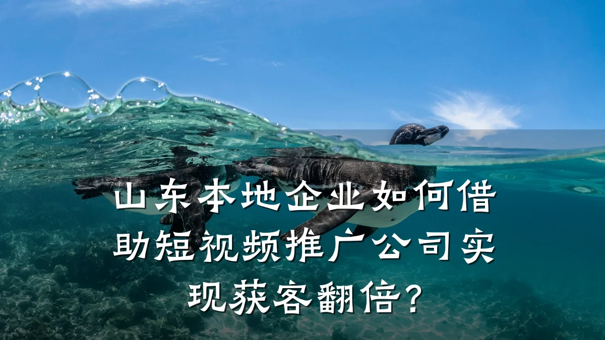 山东本地企业如何借助短视频推广公司实现获客翻倍?
