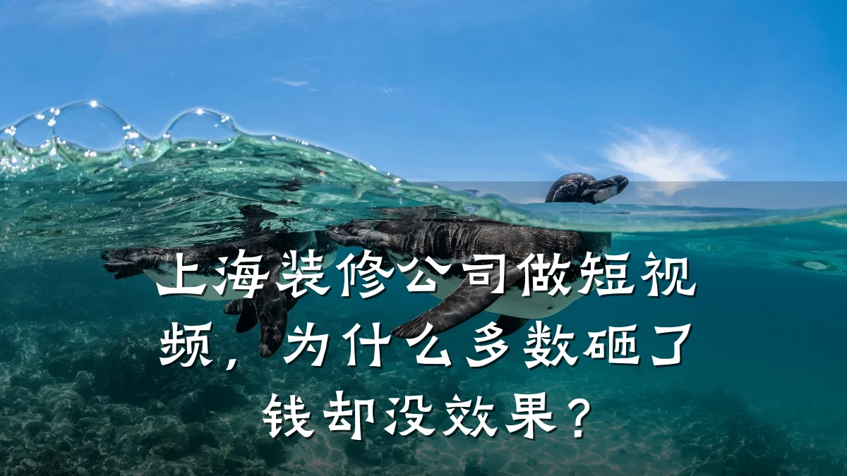 上海装修公司做短视频,为什么多数砸了钱却没效果?