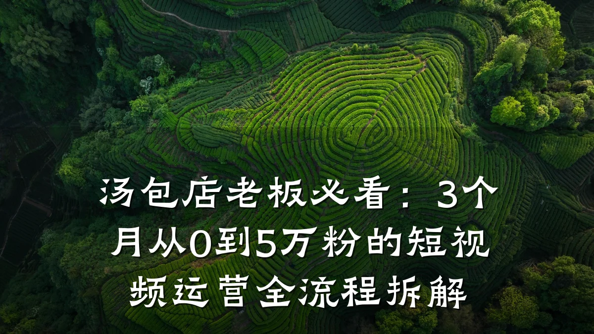 汤包店老板必看:3个月从0到5万粉的短视频运营全流程拆解