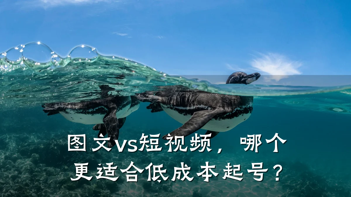 图文vs短视频,哪个更适合低成本起号?