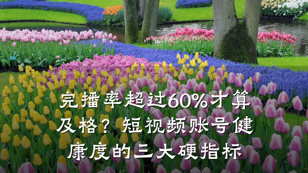 完播率超过60%才算及格?短视频账号健康度的三大硬指标