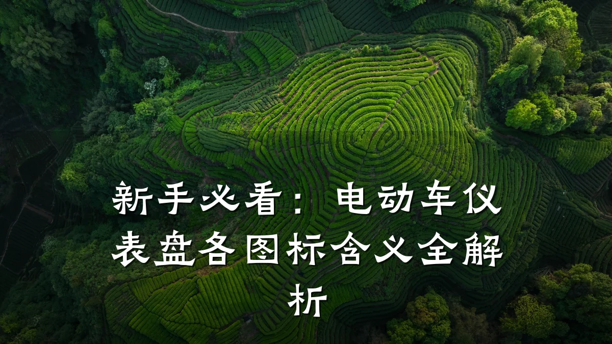 新手必看:电动车仪表盘各图标含义全解析