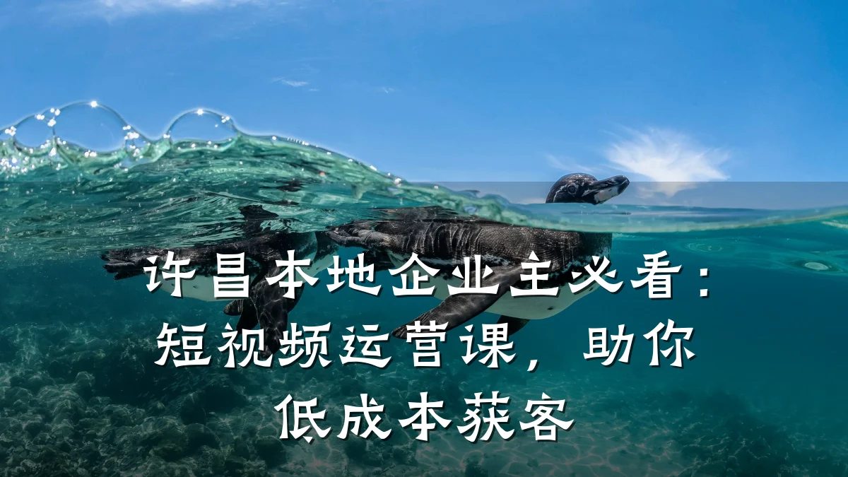 许昌本地企业主必看:短视频运营课,助你低成本获客