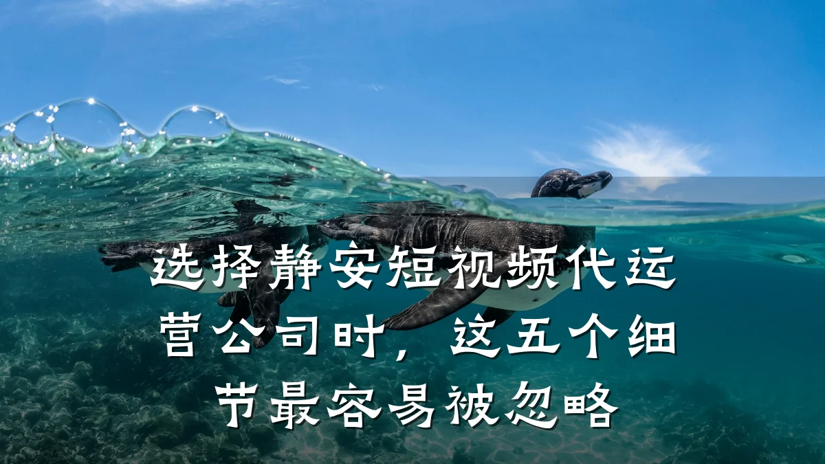 选择静安短视频代运营公司时,这五个细节最容易被忽略