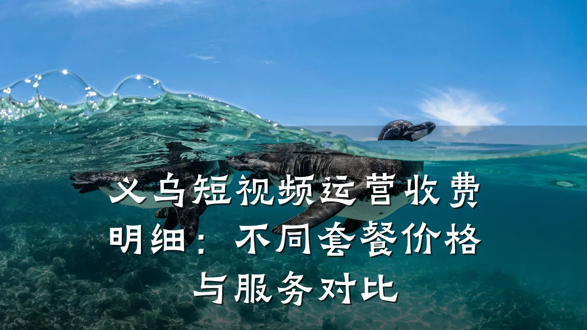 义乌短视频运营收费明细：不同套餐价格与服务对比
