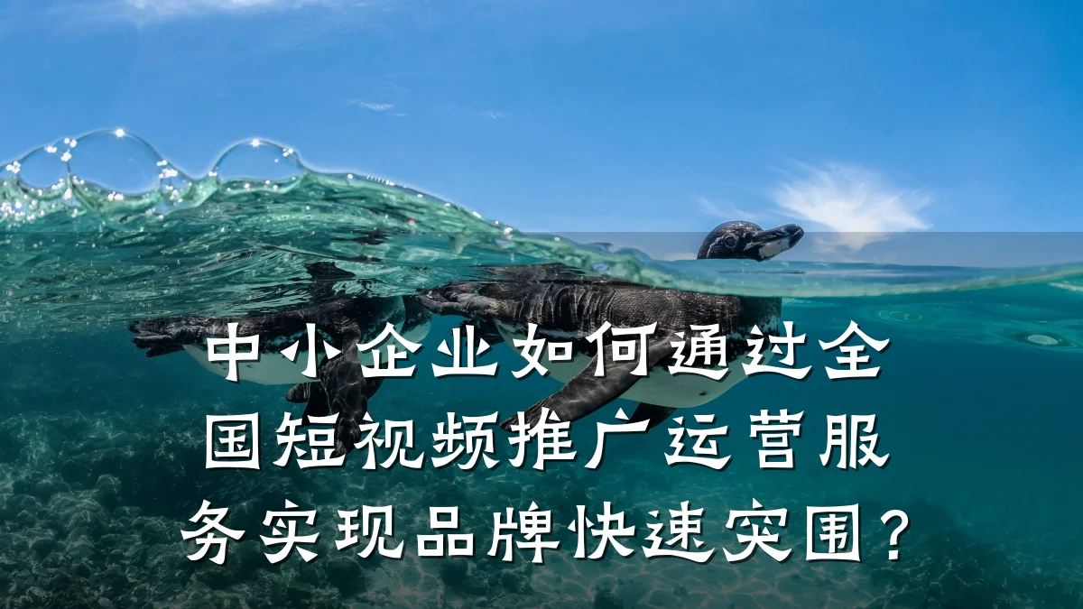 中小企业如何通过全国短视频推广运营服务实现品牌快速突围?
