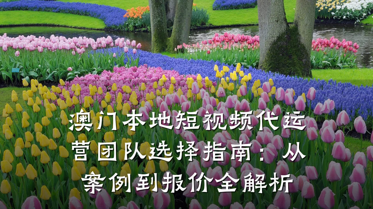 澳门本地短视频代运营团队选择指南:从案例到报价全解析
