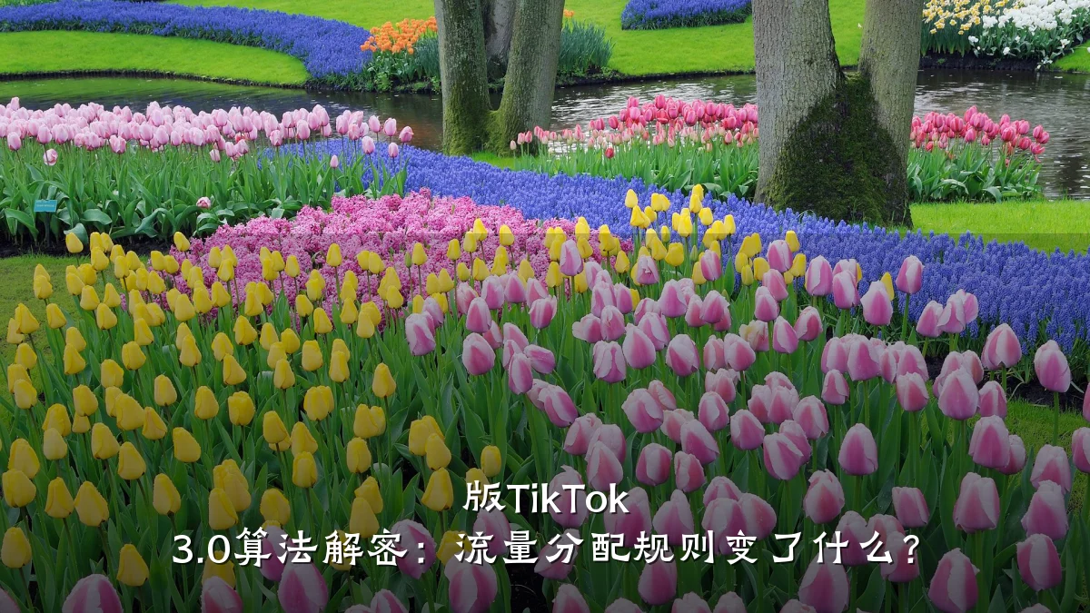 版TikTok 3.0算法解密:流量分配规则变了什么?