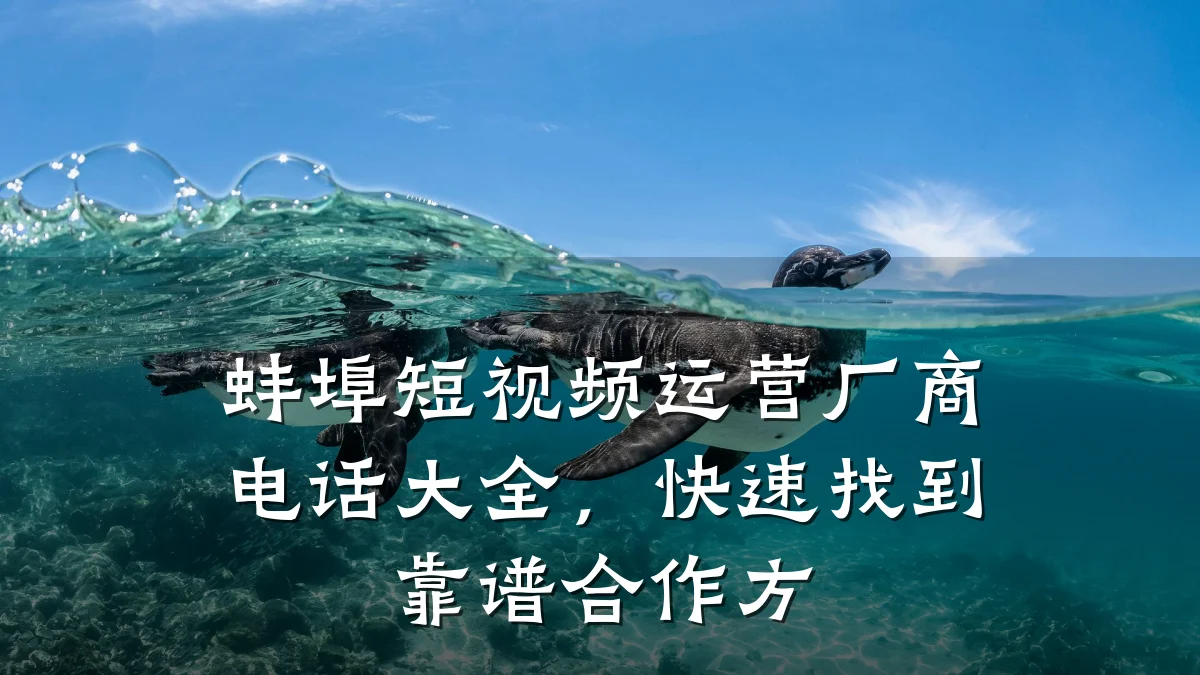蚌埠短视频运营厂商电话大全,快速找到靠谱合作方