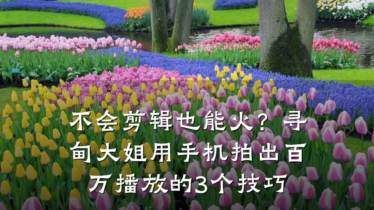 不会剪辑也能火?寻甸大姐用手机拍出百万播放的3个技巧