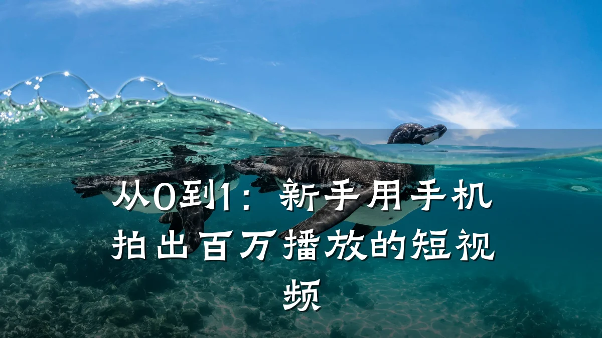 从0到1:新手用手机拍出百万播放的短视频
