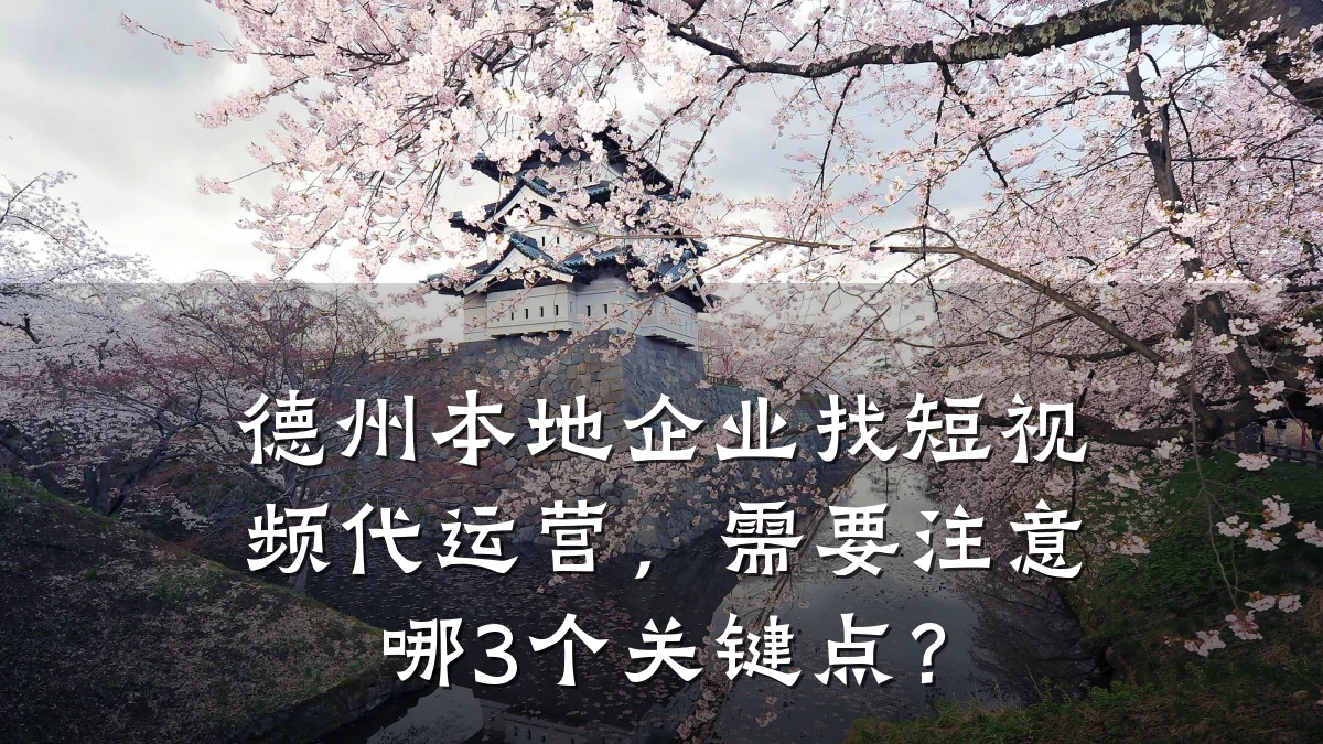德州本地企业找短视频代运营,需要注意哪3个关键点?