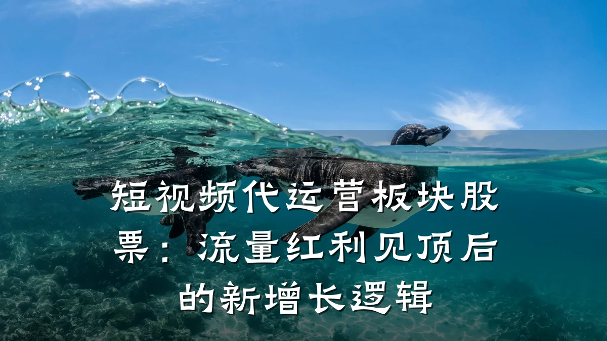 短视频代运营板块股票:流量红利见顶后的新增长逻辑