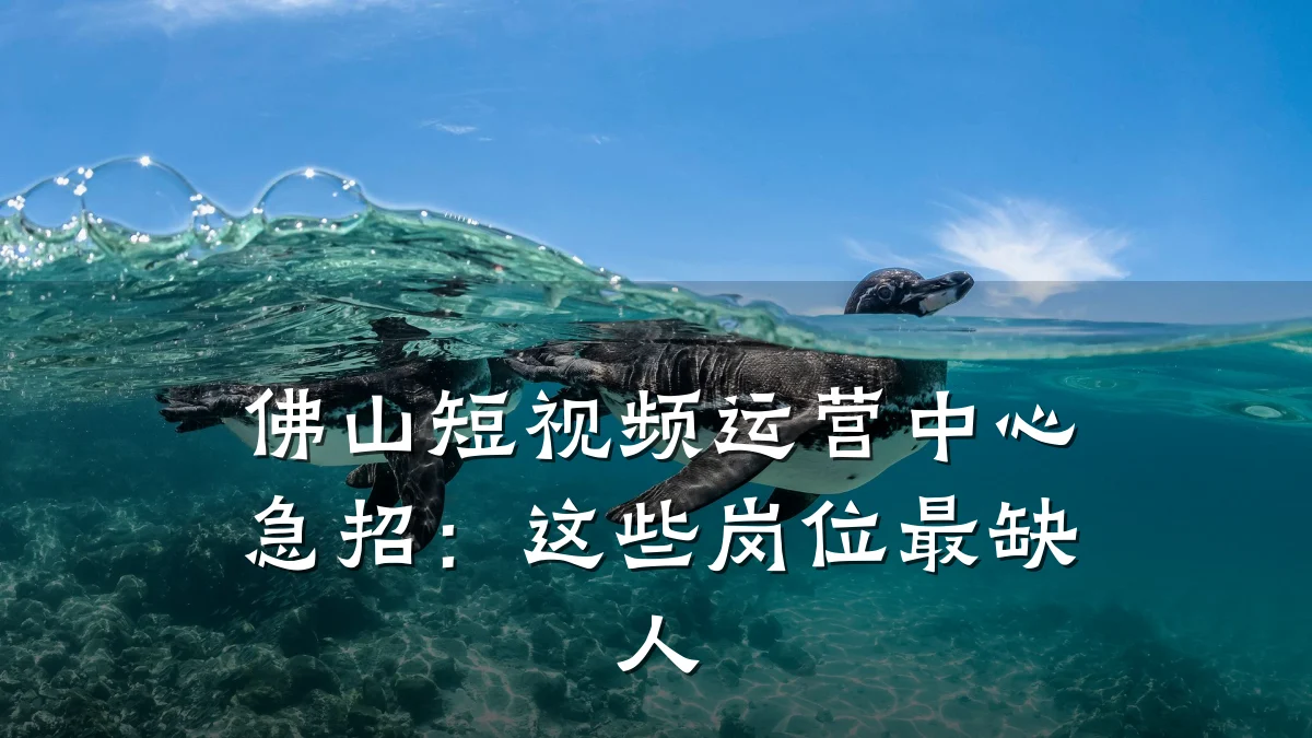 佛山短视频运营中心急招:这些岗位最缺人