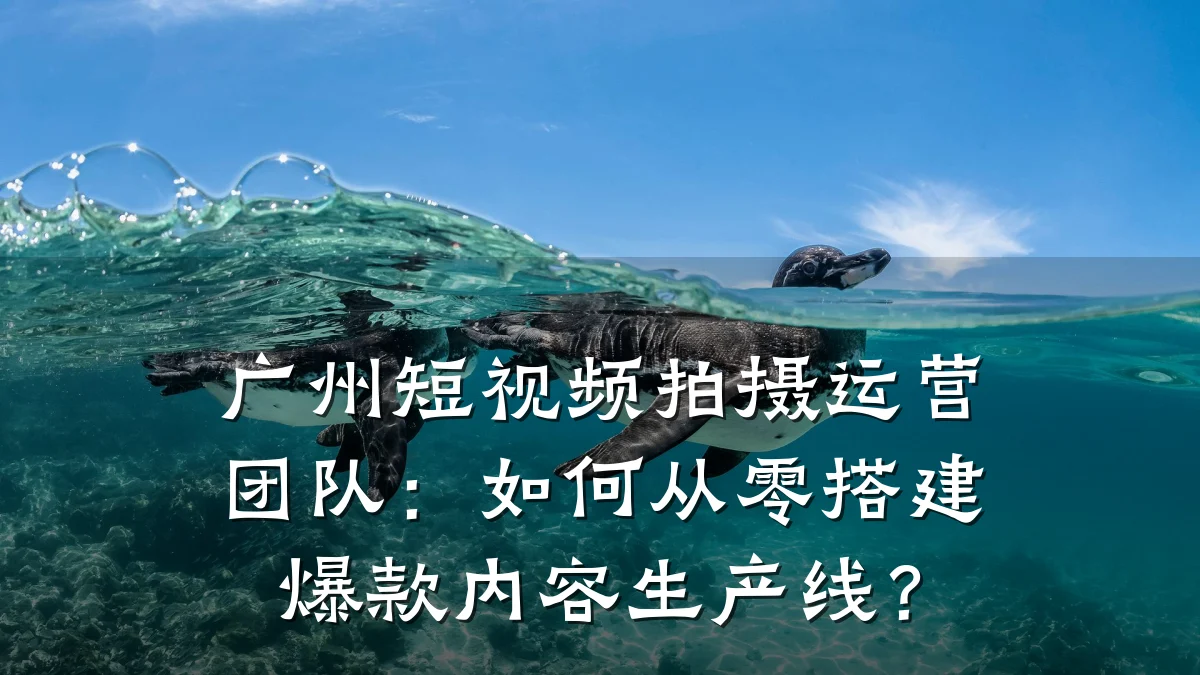 广州短视频拍摄运营团队:如何从零搭建爆款内容生产线?