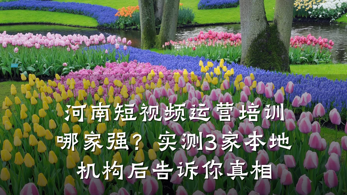 河南短视频运营培训哪家强?实测3家本地机构后告诉你真相