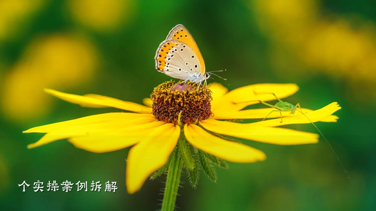 个实操案例拆解