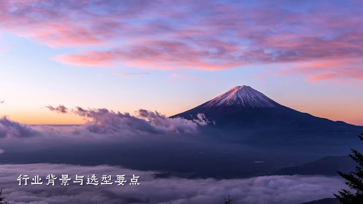 行业背景与选型要点