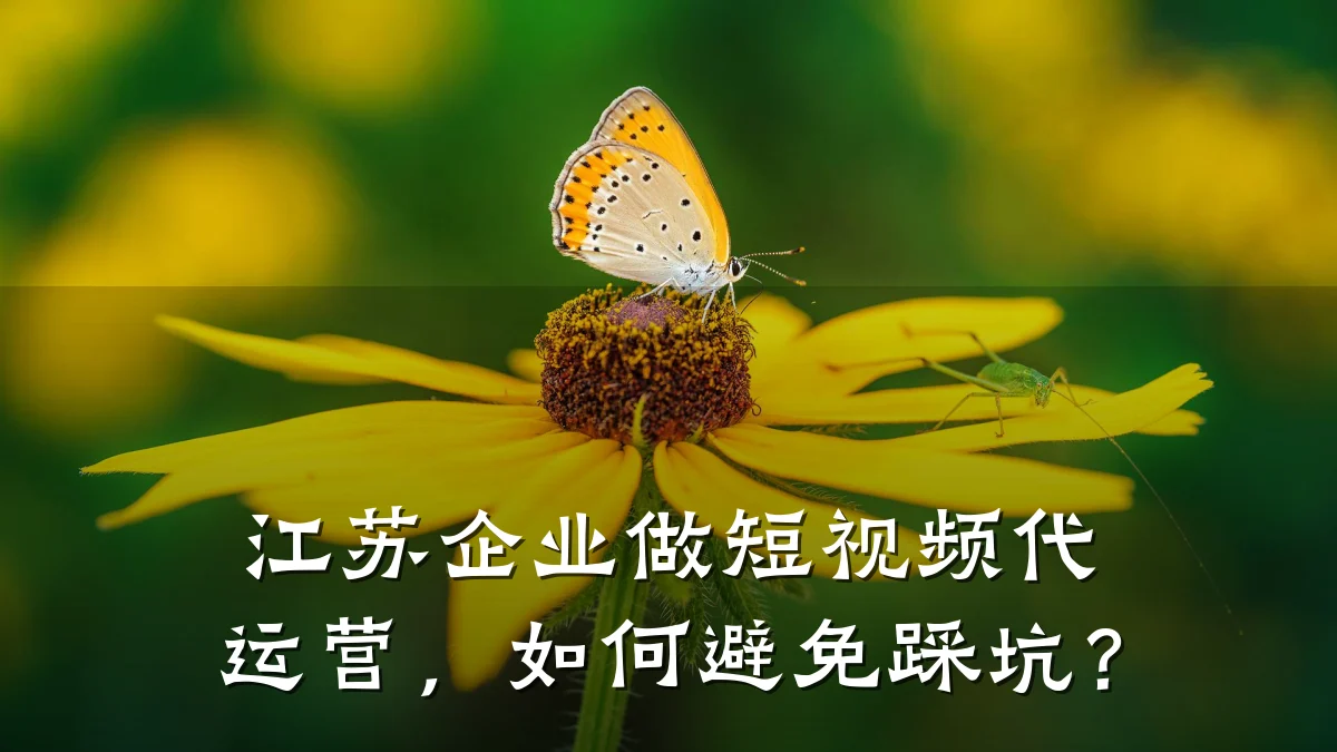 江苏企业做短视频代运营,如何避免踩坑?