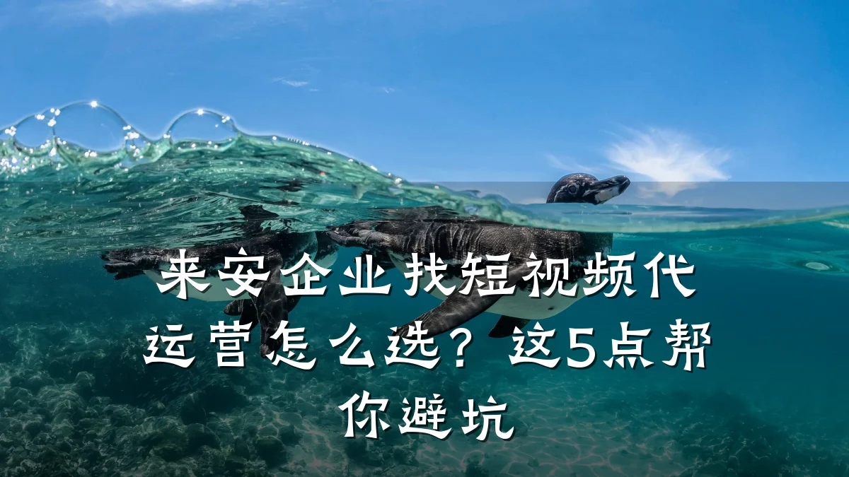 来安企业找短视频代运营怎么选?这5点帮你避坑