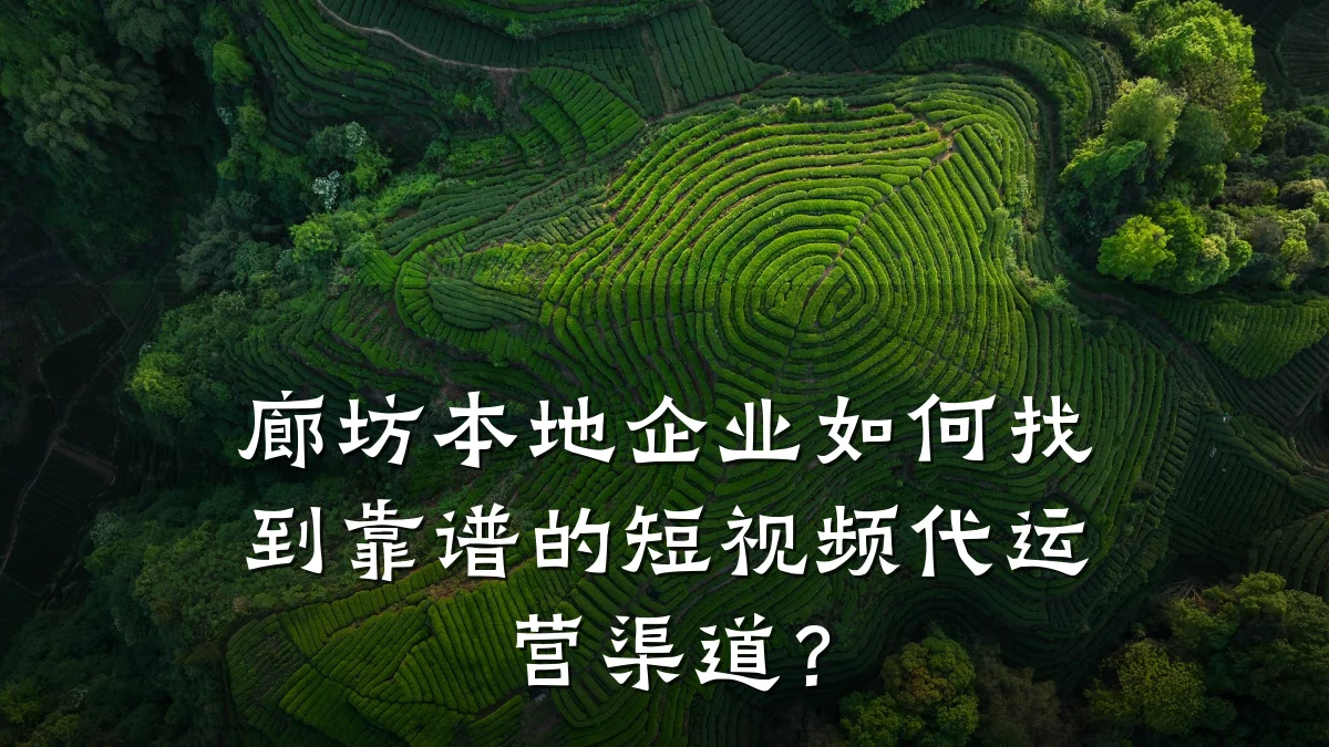 廊坊本地企业如何找到靠谱的短视频代运营渠道?