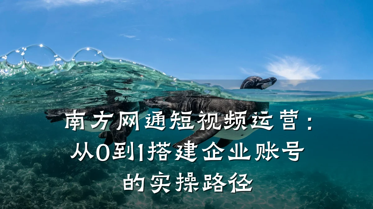 南方网通短视频运营:从0到1搭建企业账号的实操路径