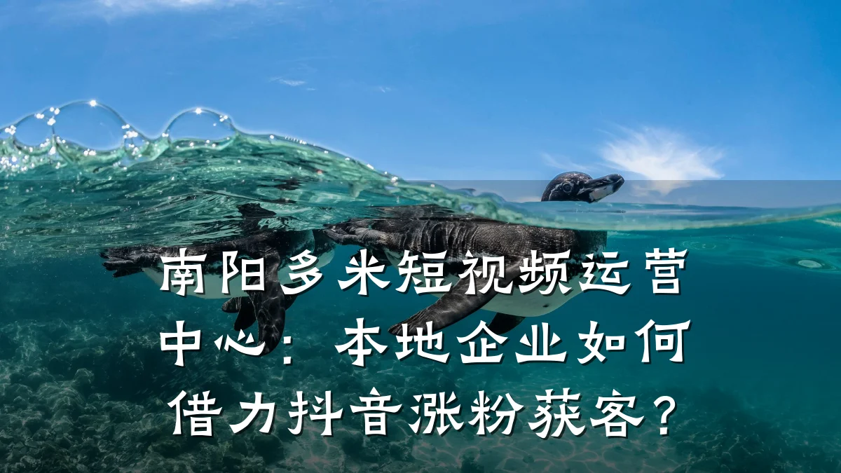 南阳多米短视频运营中心:本地企业如何借力抖音涨粉获客?